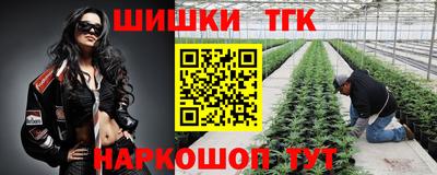 прущие грибы Кулебаки